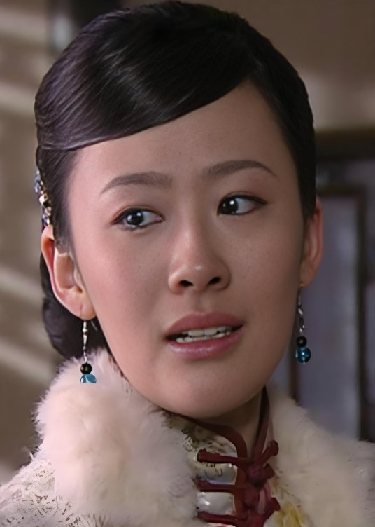 宅门劫（2009年喻瀚湫执导的电影）