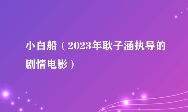 小白船（2023年耿子涵执导的剧情电影）