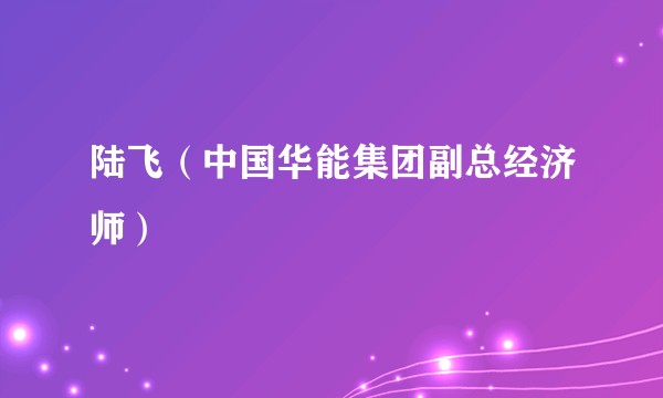 陆飞（中国华能集团副总经济师）