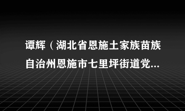 谭辉（湖北省恩施土家族苗族自治州恩施市七里坪街道党工委副书记、办事处主任）