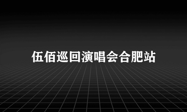 伍佰巡回演唱会合肥站