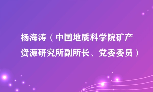 杨海涛(中国地质科学院矿产资源研究所副所长、党委委员)