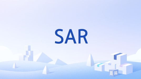 SAR（ATM适配层的数据分割与重组子层）