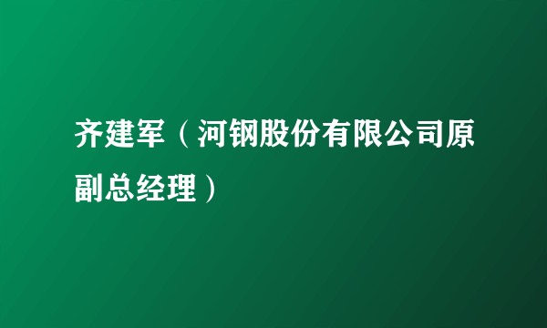 齐建军（河钢股份有限公司原副总经理）