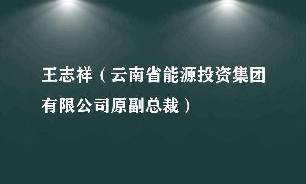 王志祥（云南省能源投资集团有限公司原副总裁）