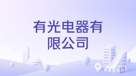 有光电器有限公司