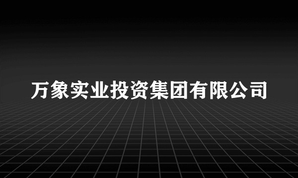 万象实业投资集团有限公司