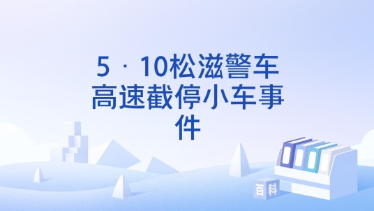5·10松滋警车高速截停小车事件