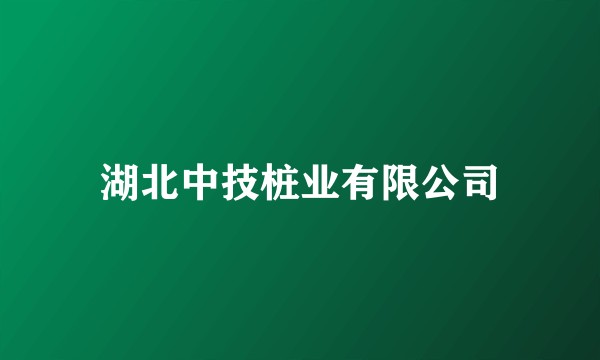 湖北中技桩业有限公司