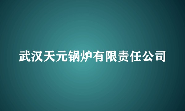 武汉天元锅炉有限责任公司