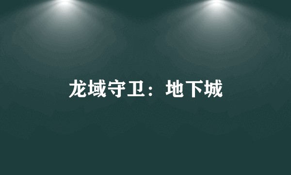 龙域守卫：地下城