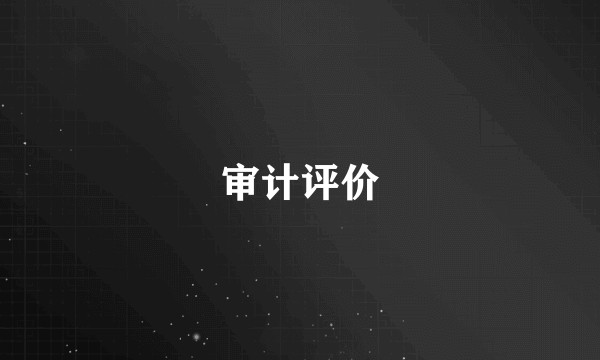 审计评价