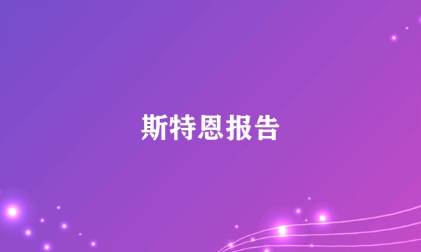 斯特恩报告