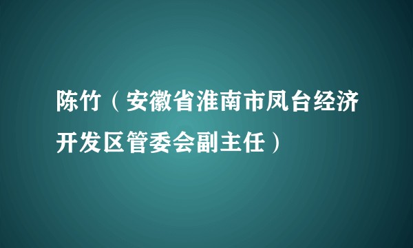 陈竹（安徽省淮南市凤台经济开发区管委会副主任）