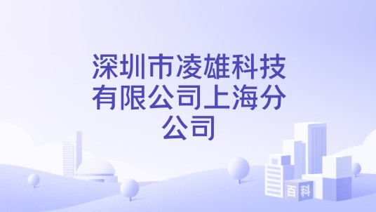 深圳市凌雄科技有限公司上海分公司