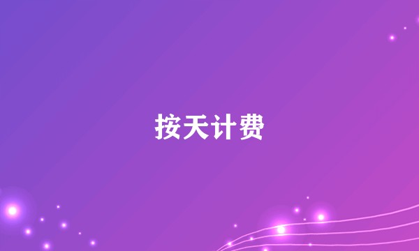 按天计费