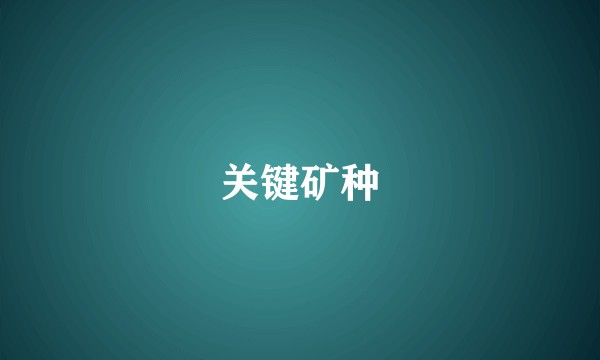 关键矿种