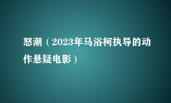 怒潮（2023年马浴柯执导的动作悬疑电影）