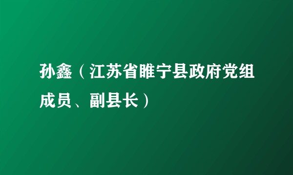 孙鑫（江苏省睢宁县政府党组成员、副县长）