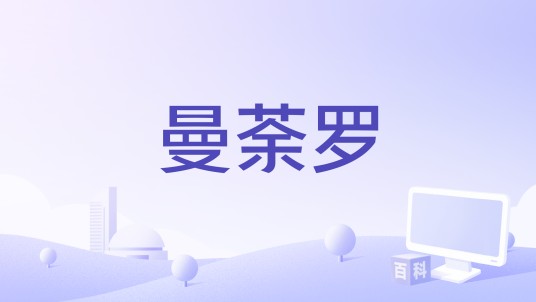 曼荼罗（2019年备案电影）