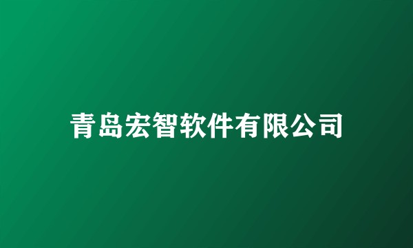 青岛宏智软件有限公司