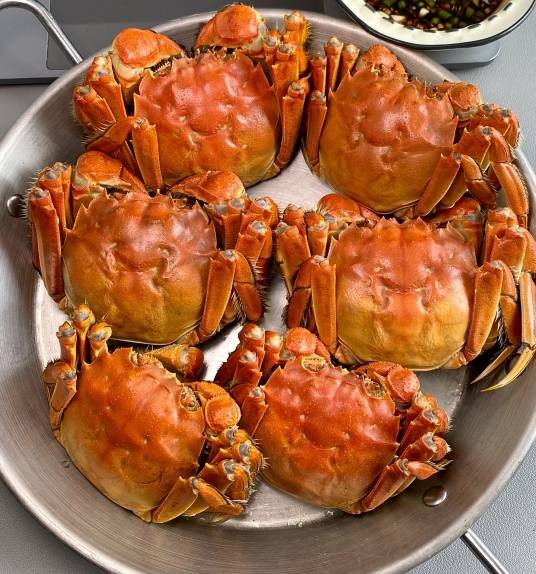 食蟹