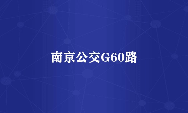 南京公交G60路