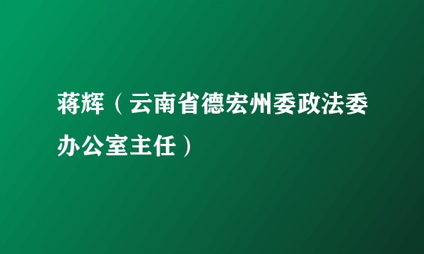 蒋辉（云南省德宏州委政法委办公室主任）