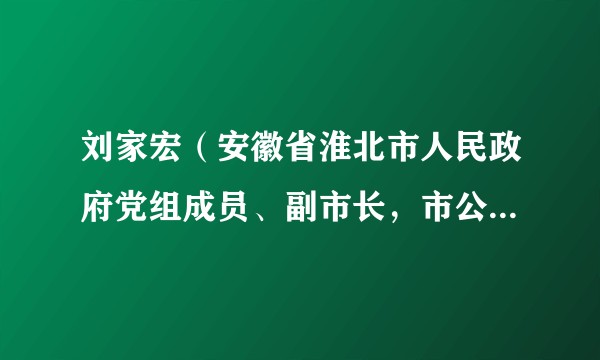 刘家宏（安徽省淮北市人民政府党组成员、副市长，市公安局党委书记、局长、督察长）