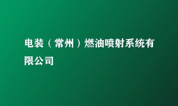 电装(常州)燃油喷射系统有限公司