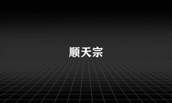 顺天宗