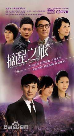 摘星之旅（2010年TVB与SMG合作拍摄的时装电视剧）