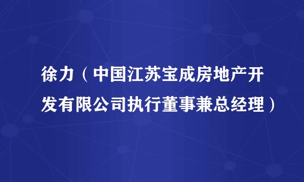 徐力（中国江苏宝成房地产开发有限公司执行董事兼总经理）