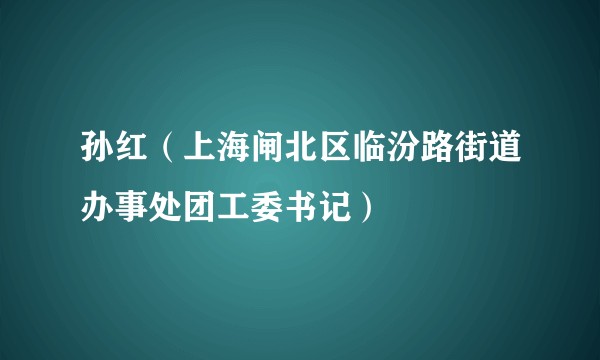 孙红（上海闸北区临汾路街道办事处团工委书记）