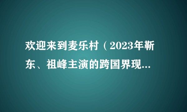 欢迎来到麦乐村(2023年靳东、祖峰主演的跨国界现实主义燃情剧)