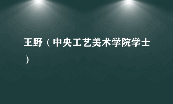 王野（中央工艺美术学院学士）