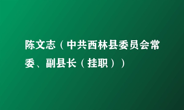 陈文志(中共西林县委员会常委、副县长(挂职))