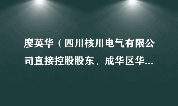 廖英华（四川核川电气有限公司直接控股股东、成华区华港琴行法定代表人）
