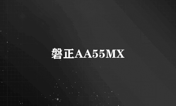 磐正AA55MX