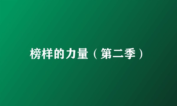 榜样的力量（第二季）