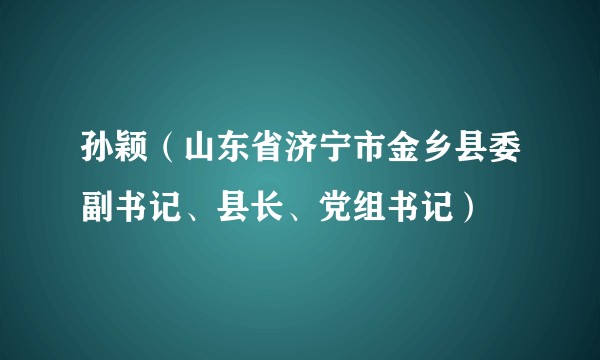 孙颖（山东省济宁市金乡县委副书记、县长、党组书记）