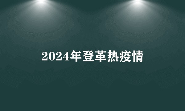 2024年登革热疫情