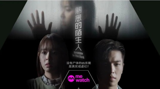 熟悉的陌生人(2023年王硕瀚主演的电视剧)