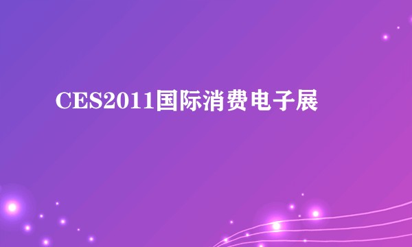 CES2011国际消费电子展