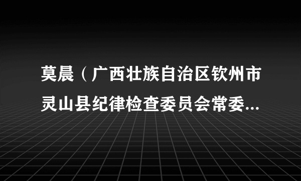莫晨（广西壮族自治区钦州市灵山县纪律检查委员会常委、县监委委员，灵山县委员会巡察办公室主任）