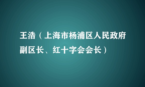 王浩（上海市杨浦区人民政府副区长、红十字会会长）