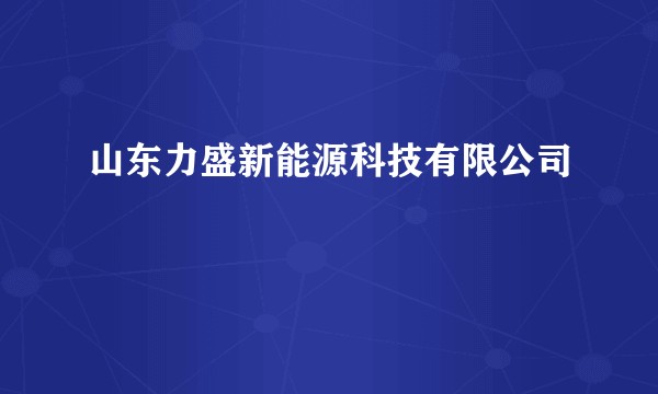 山东力盛新能源科技有限公司