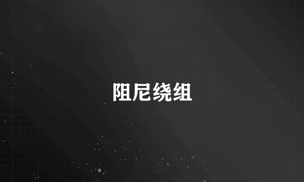 阻尼绕组
