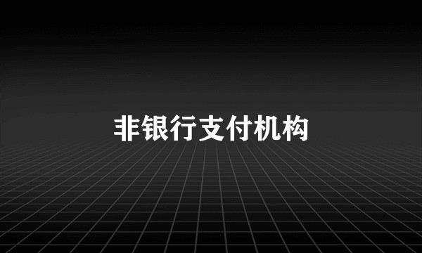 非银行支付机构