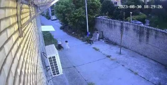 8·30荆州女童被害案